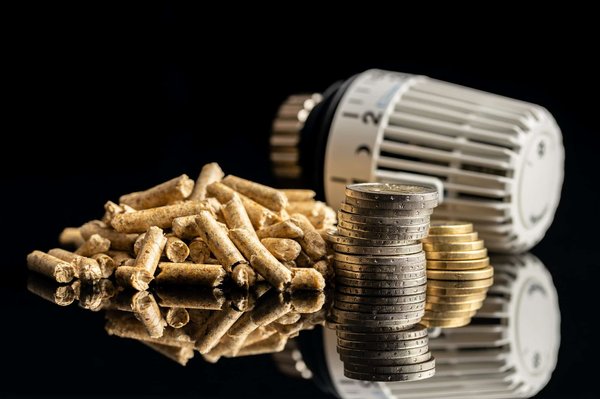 Quelle est la progression dans l'utilisation de la biomasse lignocellulosique pour la production d'énergie renouvelable ?