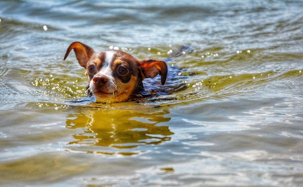 Quelles techniques pour débuter dans la création de tapisseries murales contemporaines ?